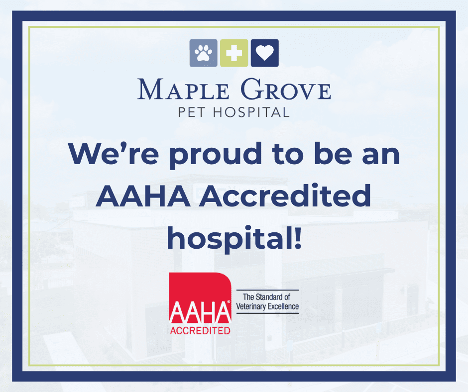 Maple Grove Aaha Popup (1)