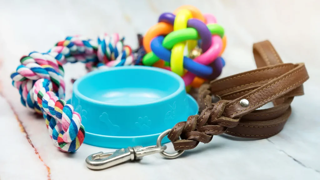 group of dog toys and bowl on the floor