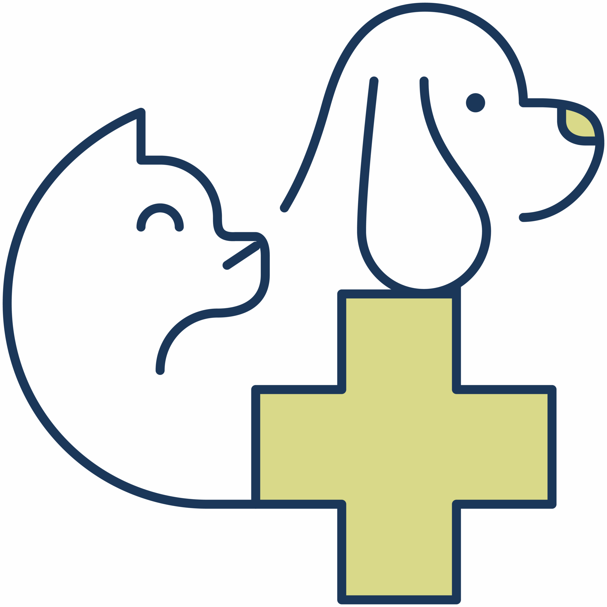 Pet Health Icon