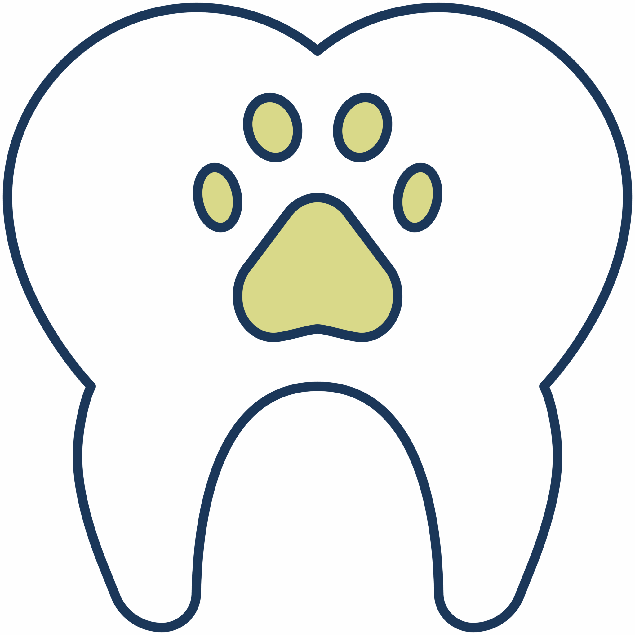 Pet Tooth Icon