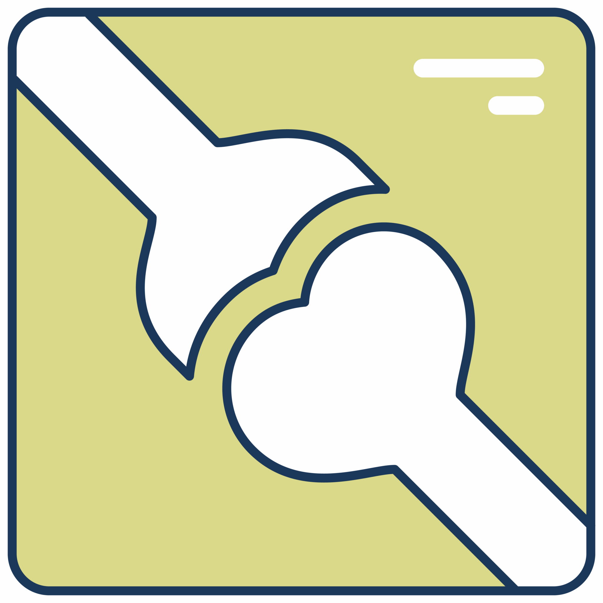 X Ray Icon