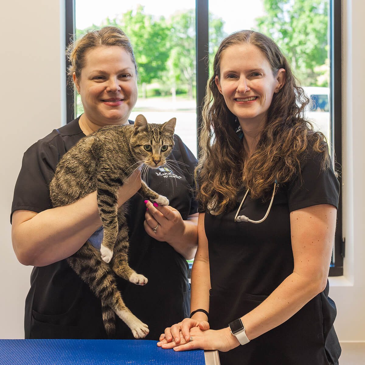 two female vets standing and holding cat