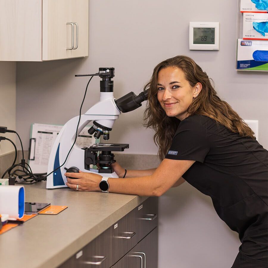 vet leaning in to look at microscope